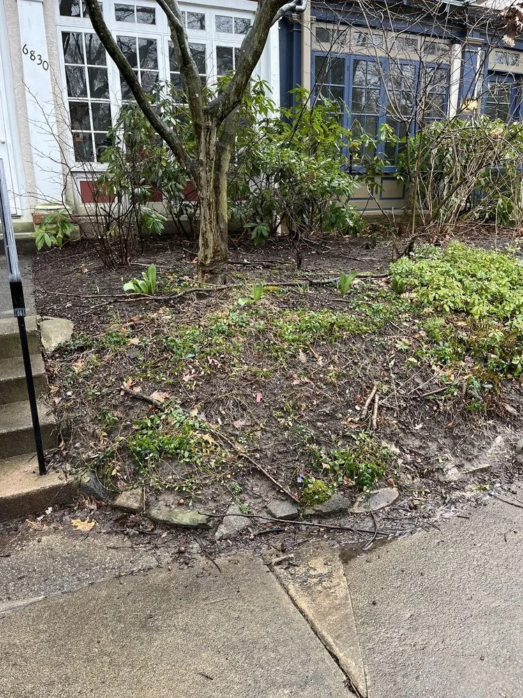 Expert landscaping services in Philadelphia, PA by VaceTime