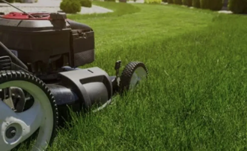 Local lawn care service in Bellingham, WA by Vad Lawnscape