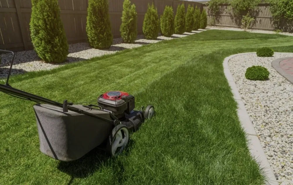 Professional yard cleanup service in Bellingham, WA - Vad Lawnscape