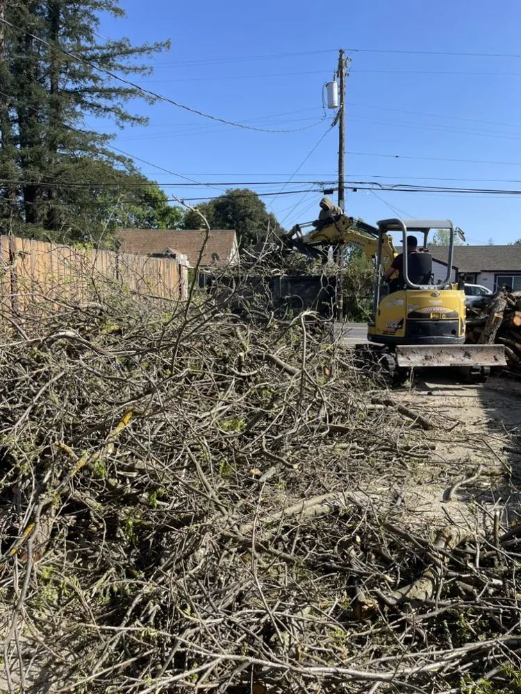 Professional landscaping services near you across Santa Rosa, CA - Vaga Excavation & Landscape