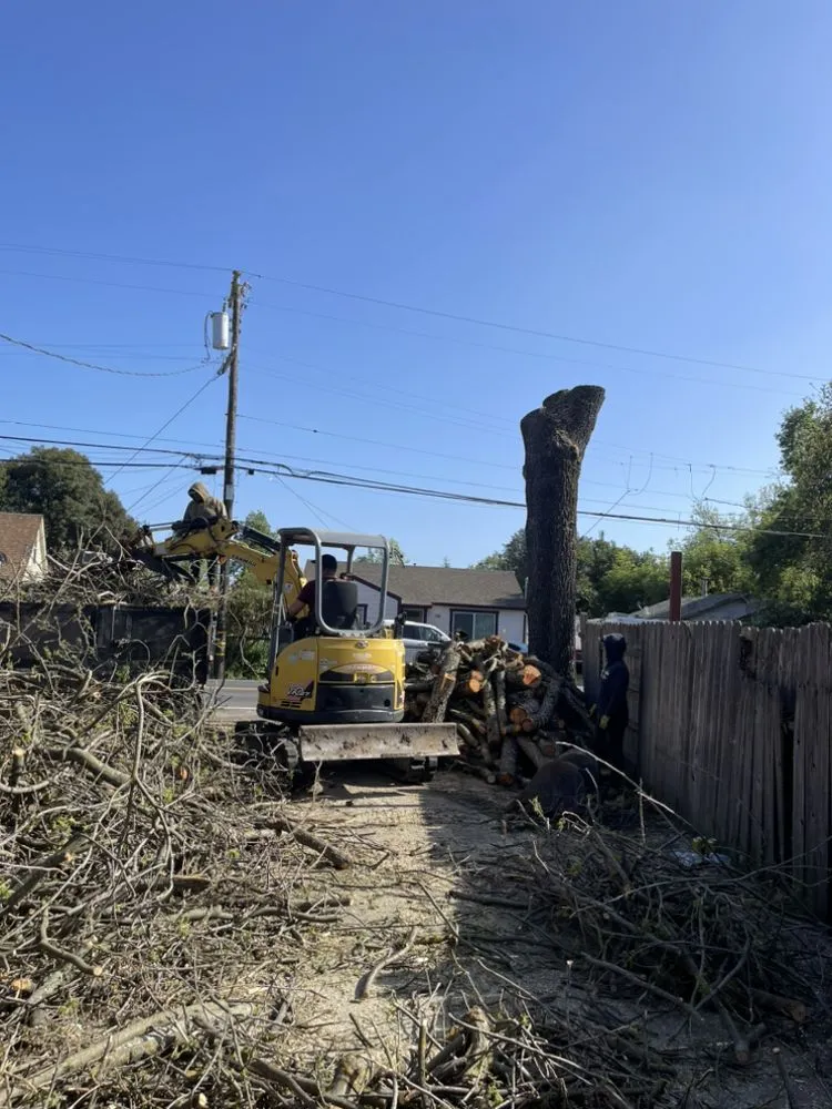 Professional landscaping services in Santa Rosa, CA - Vaga Excavation & Landscape