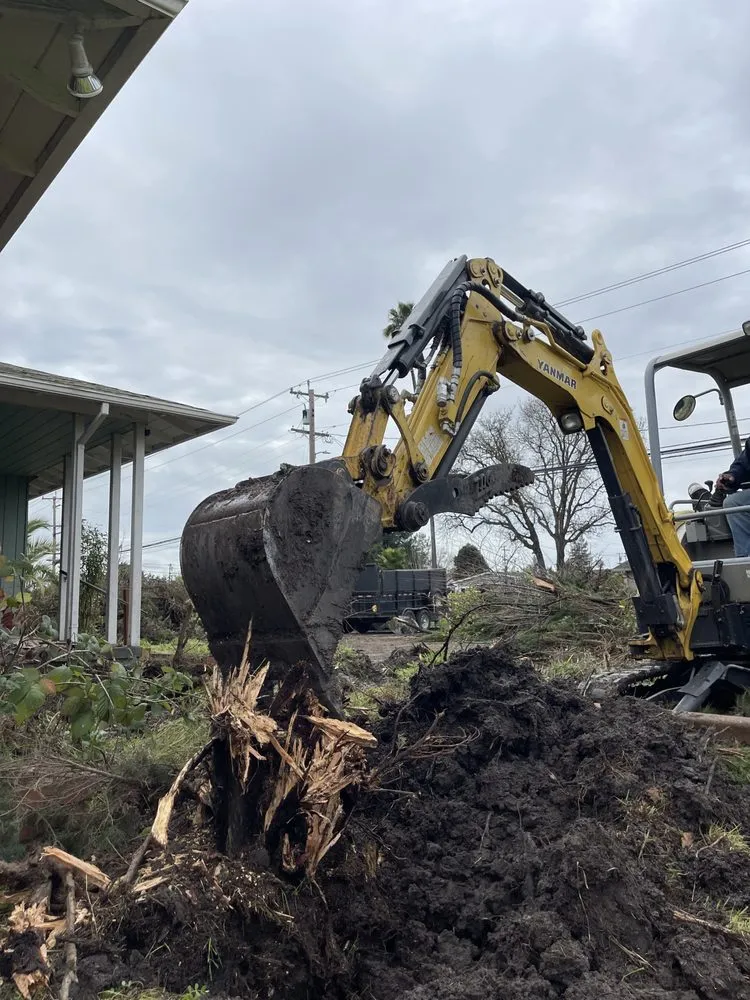 Local outdoor landscaping for homes across Santa Rosa, CA - Vaga Excavation & Landscape