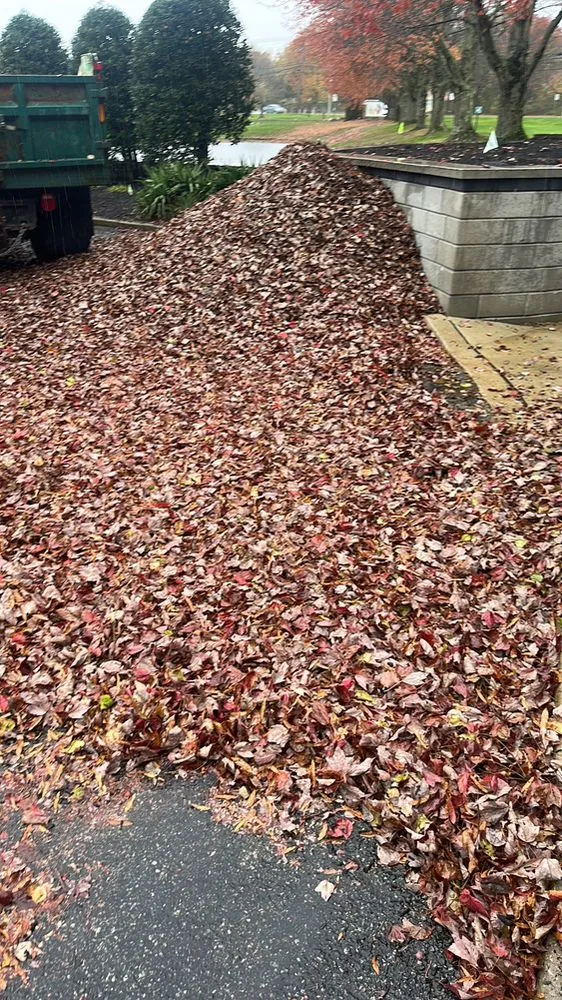 Expert outdoor landscaping in National Park, NJ - Vago Landscaping