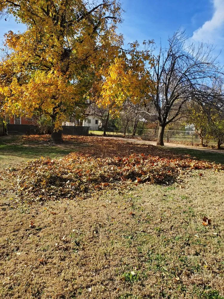 Top-rated residential landscaping in Oklahoma city, OK by Vail Landscaping and Tree Services