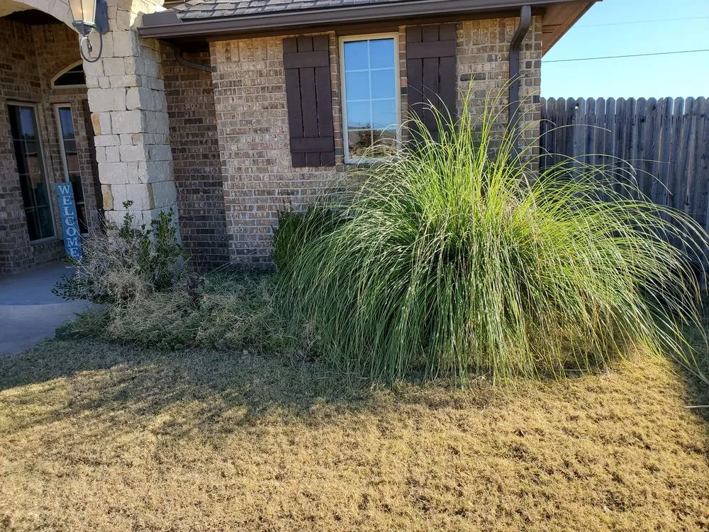 Local lawn care service in Oklahoma city, OK - Vail Landscaping and Tree Services
