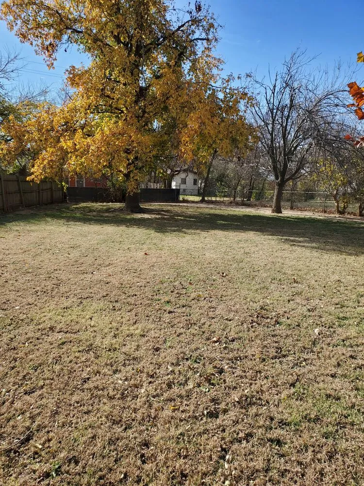 Top-rated residential landscaping in Oklahoma city, OK - Vail Landscaping and Tree Services