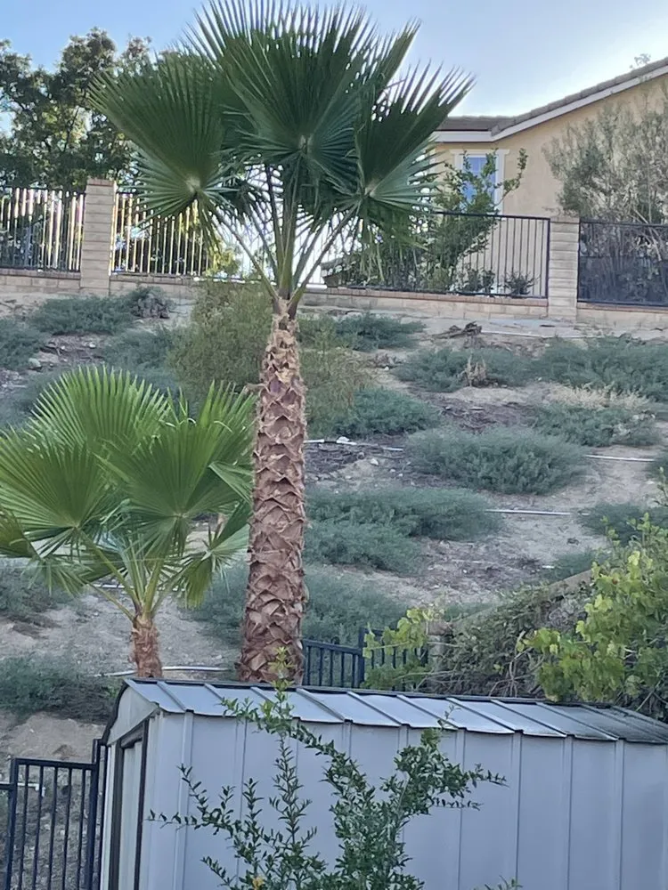 Affordable garden landscaping in Santa Clarita, CA by Vail Landscaping