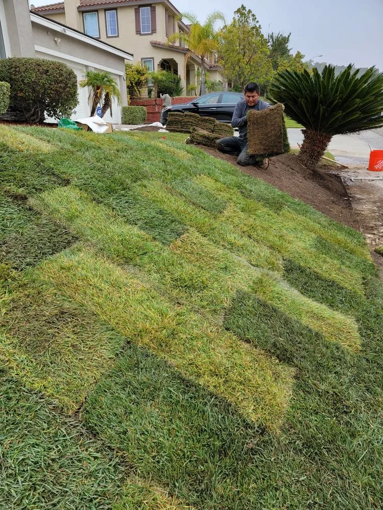 Professional yard cleanup service for outdoor upgrades in Santa Clarita, CA by Vail Landscaping