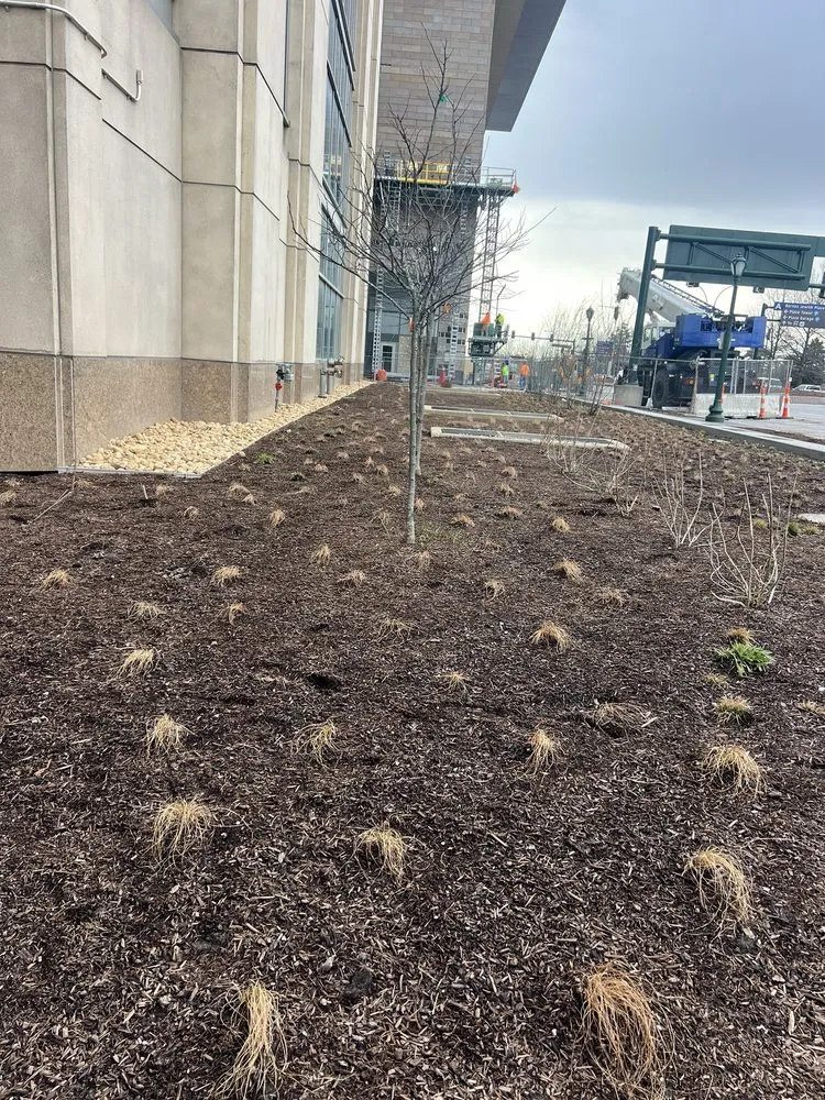 Expert landscape installation in St. Louis, MO by Vail Lawncare and Landscaping