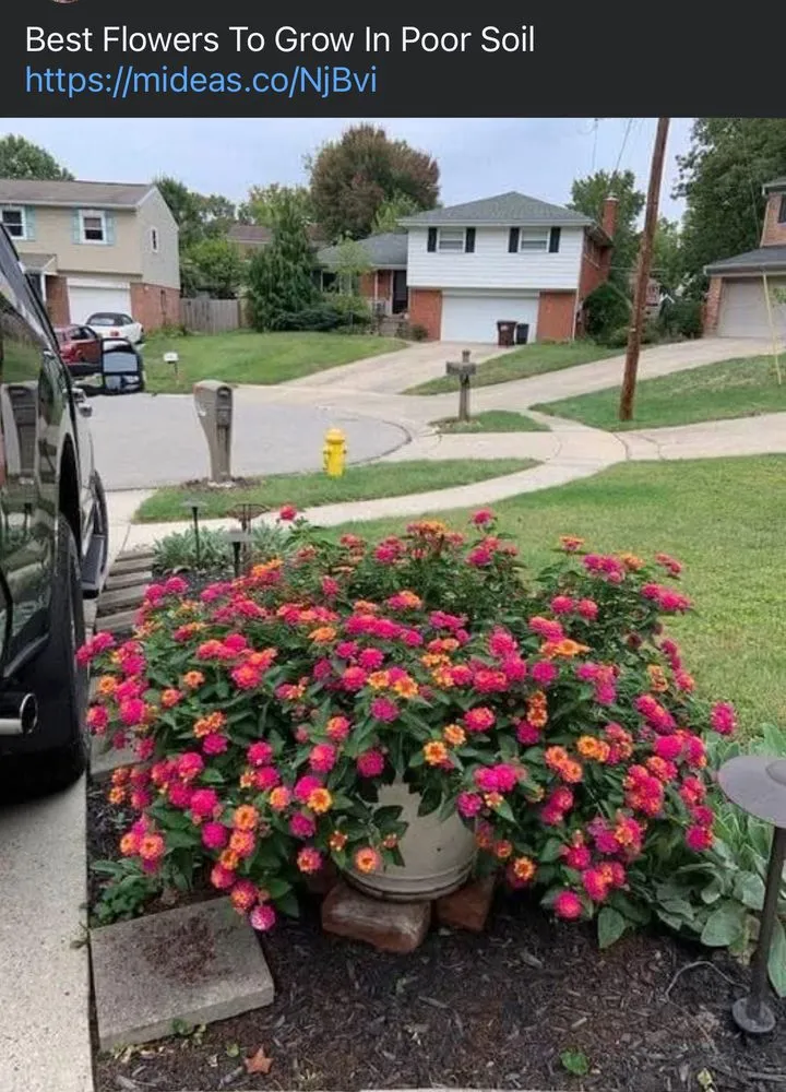 Affordable residential landscaping in St. Louis, MO - Vail Lawncare and Landscaping