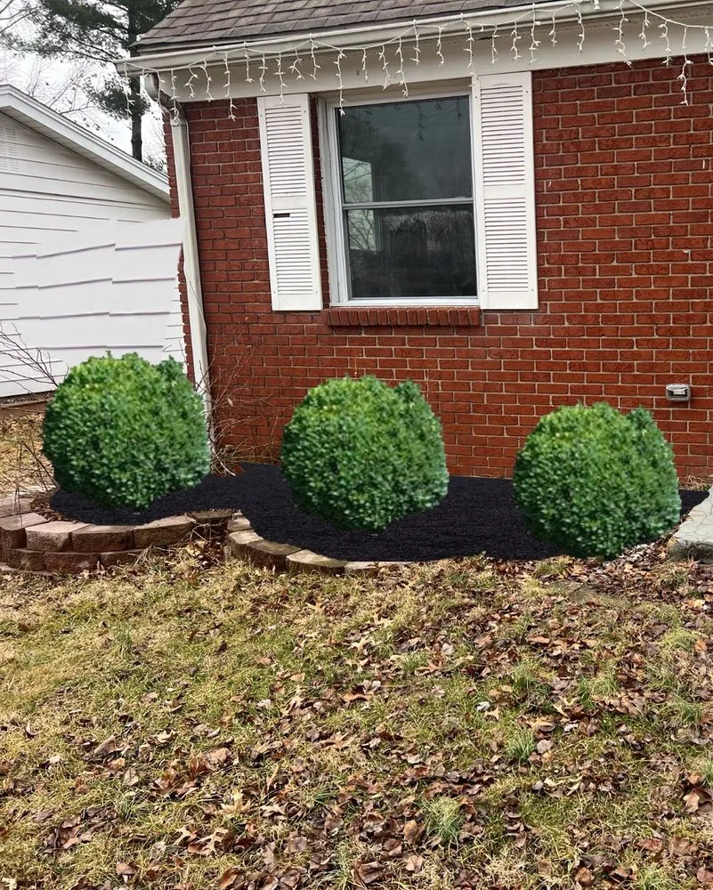 Trusted landscape installation for homes across St. Louis, MO - Vail Lawncare and Landscaping