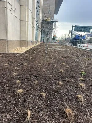 Vail Lawncare and Landscaping Logo