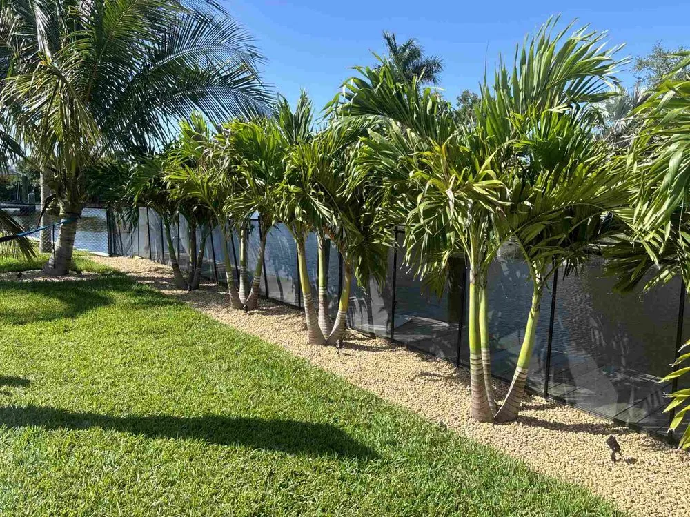 Trusted residential landscaping experts serving Fort Myers, FL - Valadez Landscaping