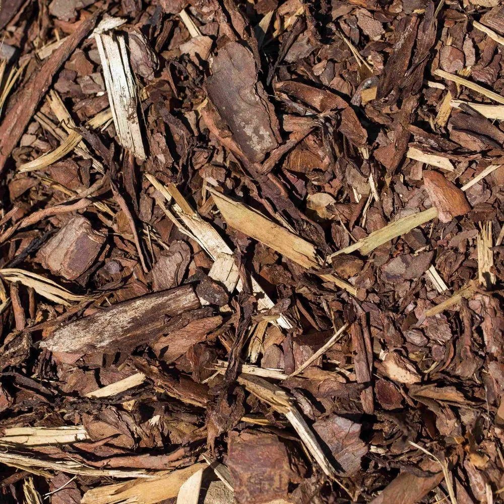 Reliable outdoor landscaping in Fort Myers, FL - Valadez Landscaping