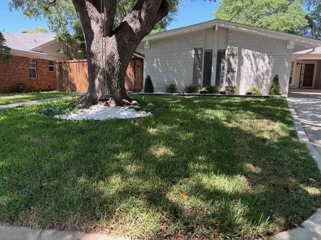 Reliable yard cleanup service in Fort Worth, TX by Valadez Landscaping