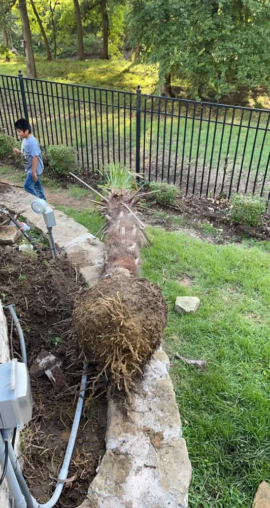 Expert lawn care service in Grapevine, TX - Valadez Landscaping