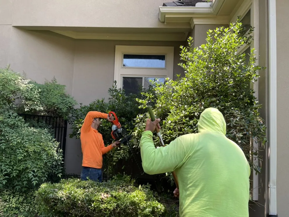 Trusted yard cleanup service near you in Grapevine, TX by Valadez Landscaping