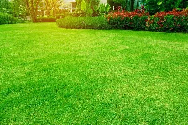 Custom lawn mowing service for beautiful yards in Joliet, IL by Valadez Landscaping