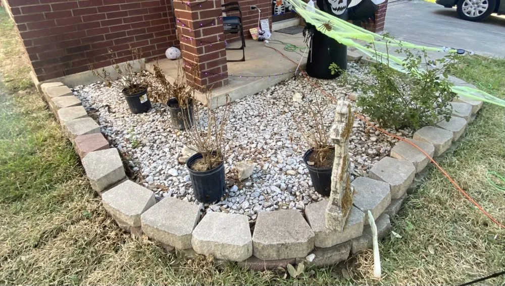 Affordable lawn care service in Devine, TX - Valadez Lawn Care Services