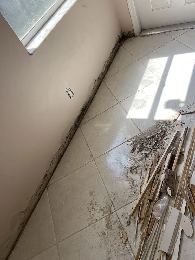 Top-rated landscape design for residential properties in Davie, FL by Valantinos Luxury Home Services