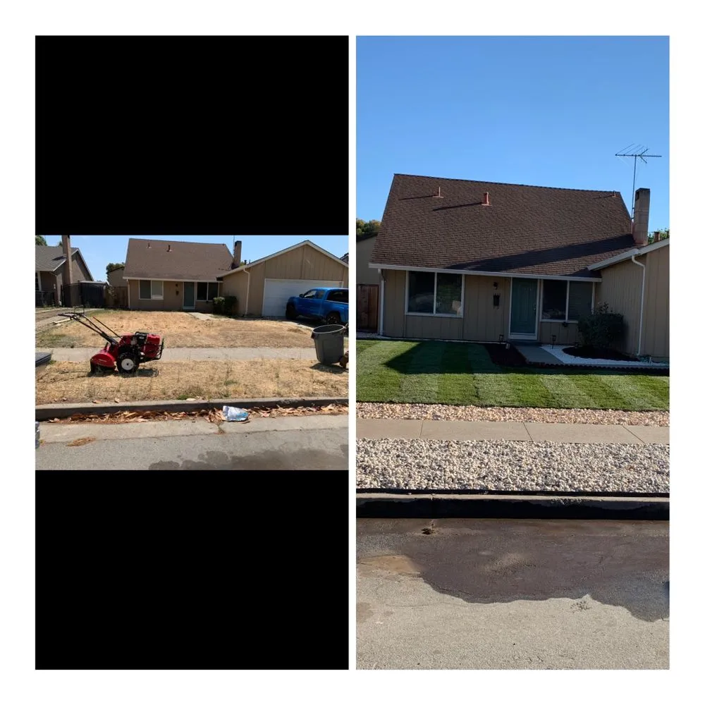 Affordable garden landscaping for outdoor upgrades across Newark, CA - Valde's Gardening & Landscaping