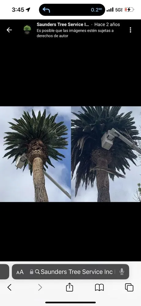 Affordable residential landscaping in Newark, CA by Valde's Gardening & Landscaping