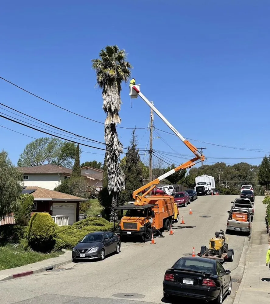 Affordable lawn care service experts serving Newark, CA - Valde's Gardening & Landscaping