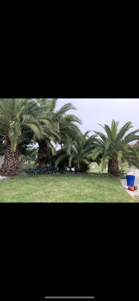 Expert outdoor landscaping in Newark, CA - Valde's Gardening & Landscaping