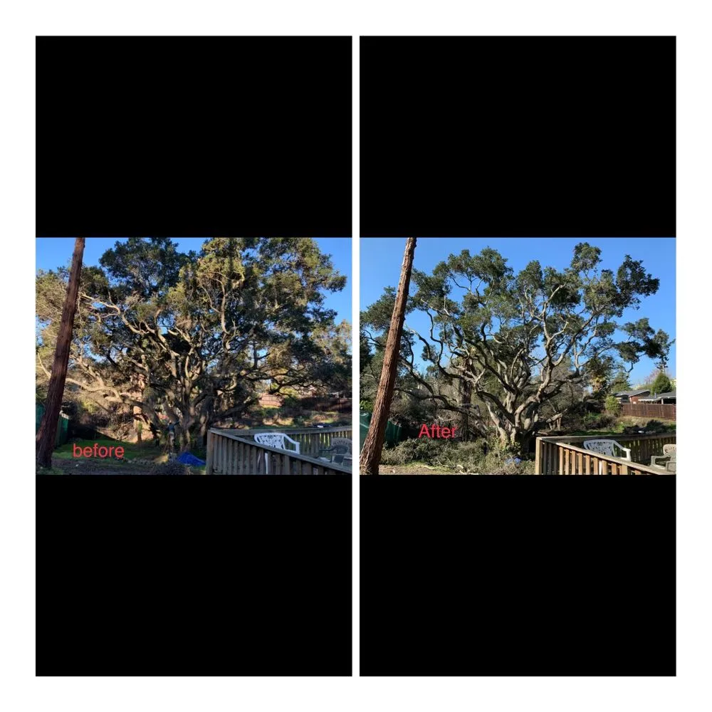 Affordable landscape installation in Newark, CA - Valde's Gardening & Landscaping