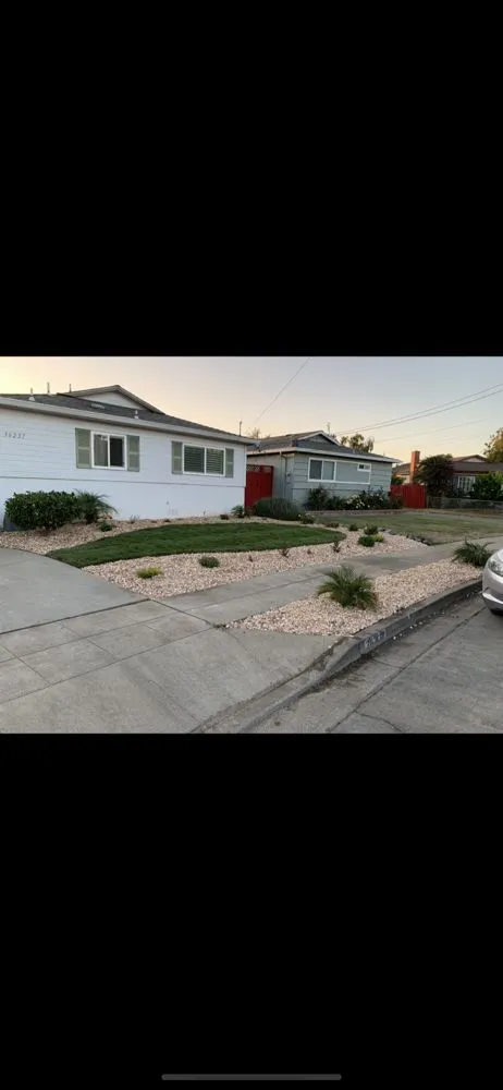 Affordable yard cleanup service in Newark, CA by Valde's Gardening & Landscaping
