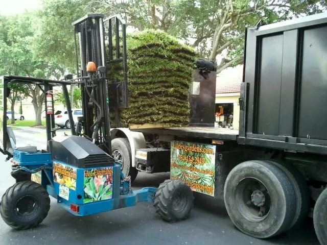 Local yard maintenance experts serving Southwest Ranches, FL - Valdes Gardens Nursery