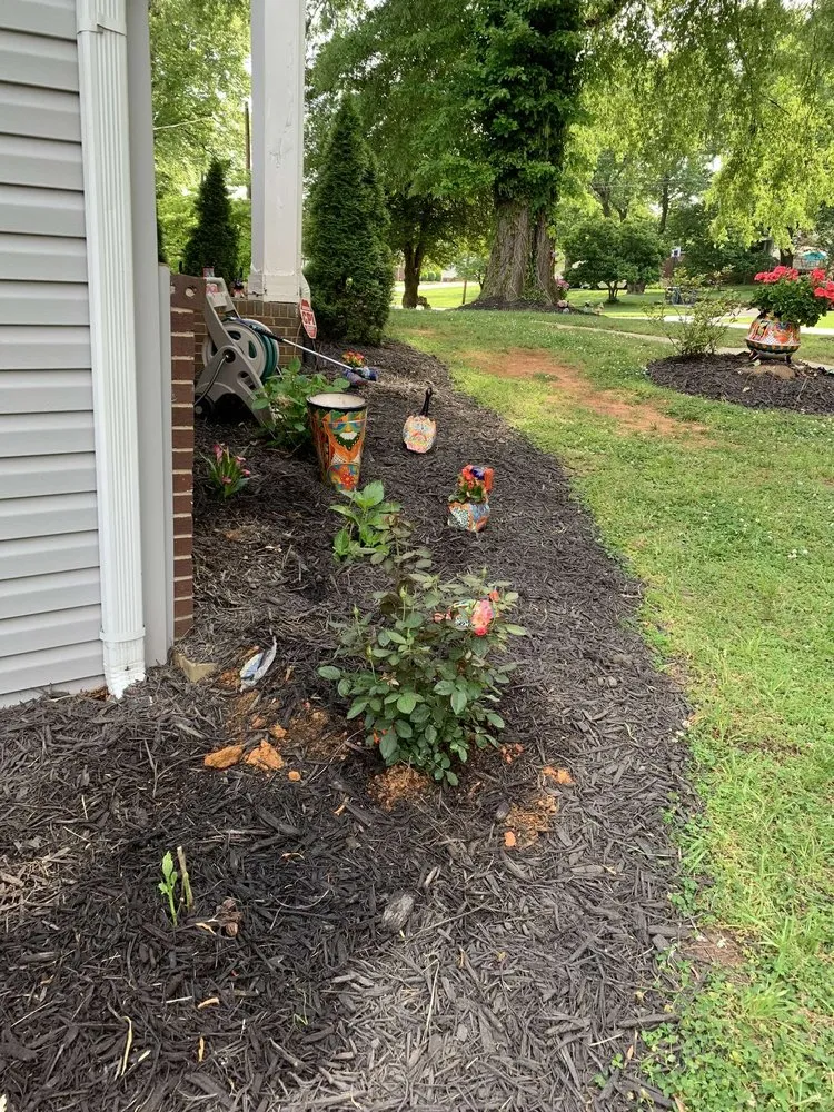 Professional yard maintenance in Greensboro, NC - Valdez All In One