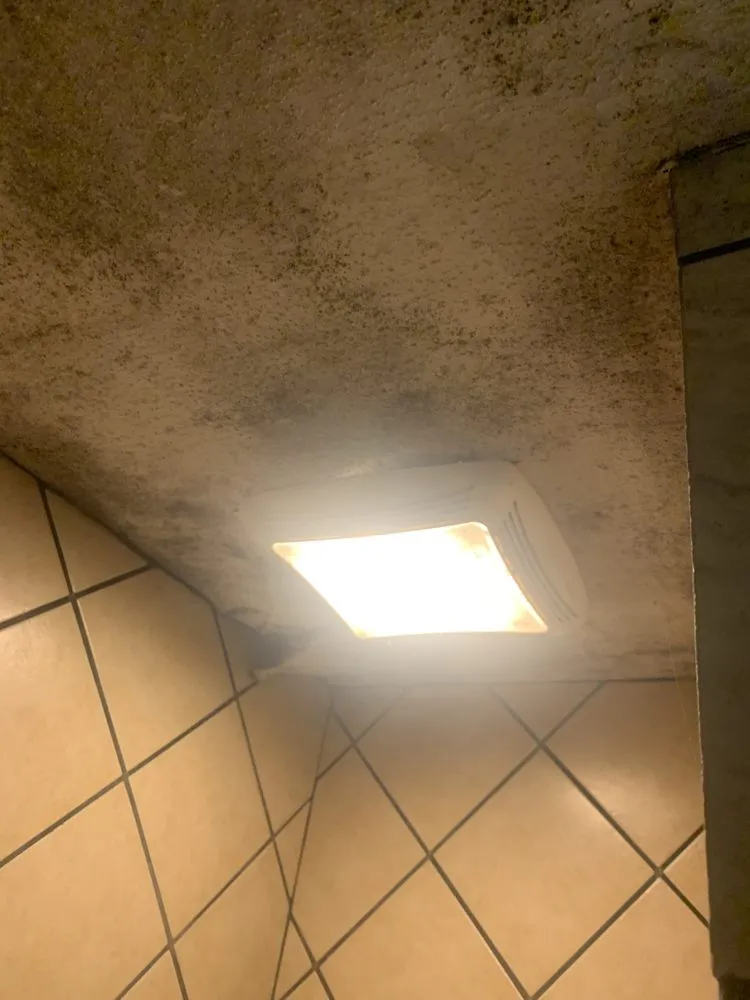 Local lawn mowing service in Greensboro, NC - Valdez All In One