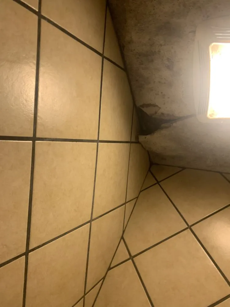 Top-rated landscaping services experts serving Greensboro, NC - Valdez All In One