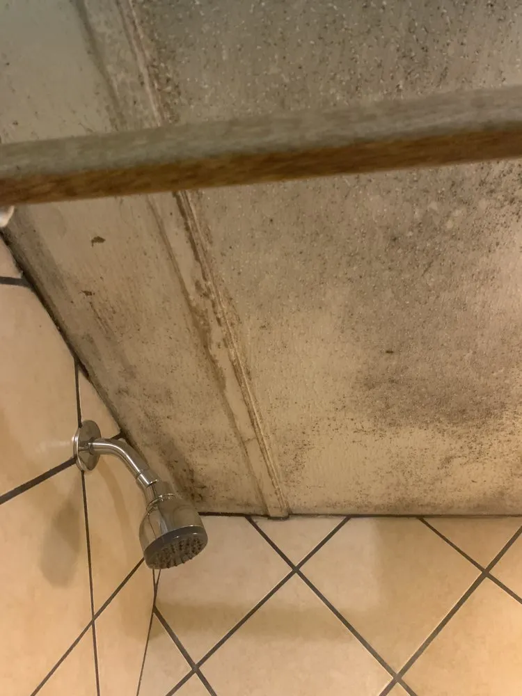 Custom residential landscaping in Greensboro, NC - Valdez All In One