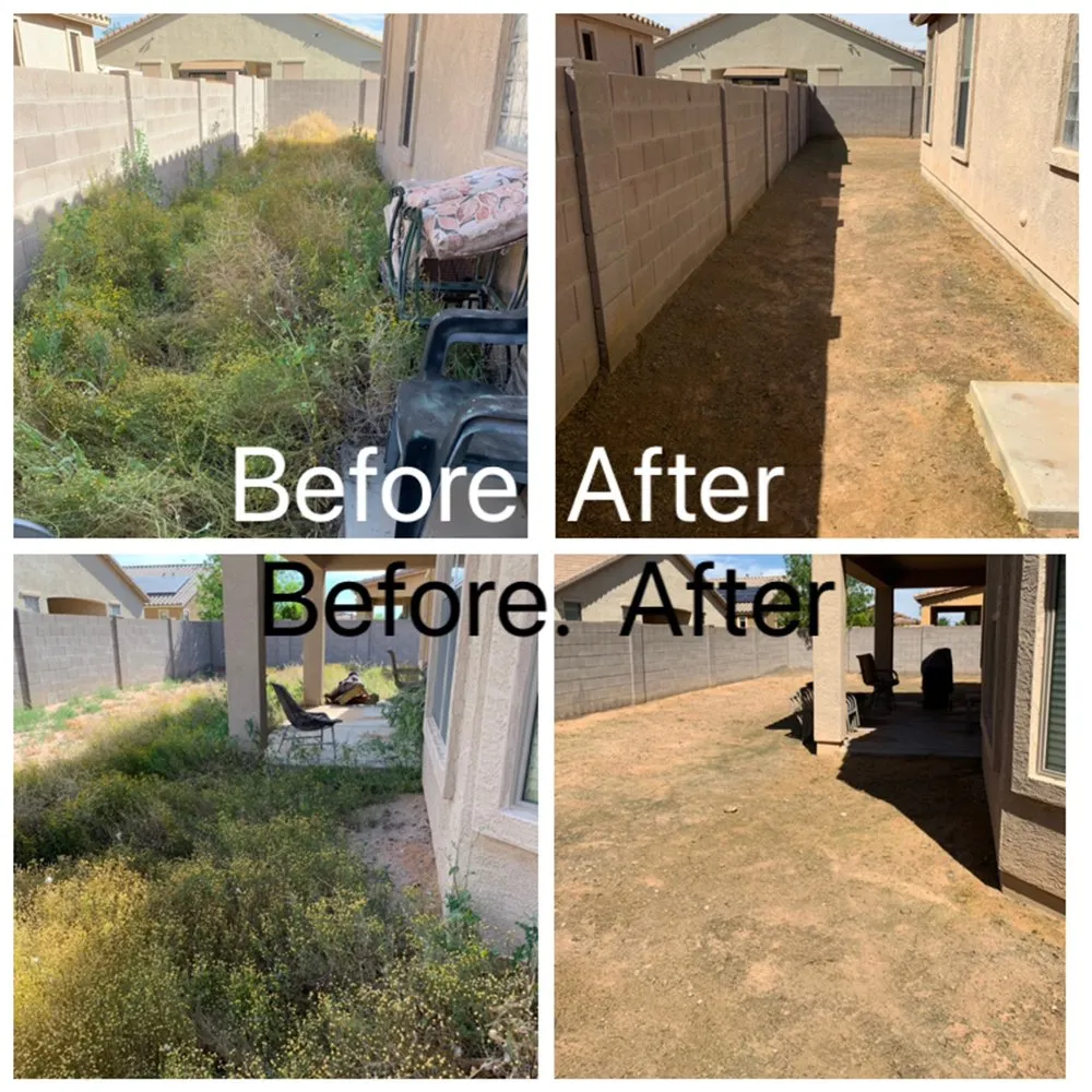 Trusted landscape installation in Casa Grande, AZ - Valdez Executive Landscaping and Maintenance