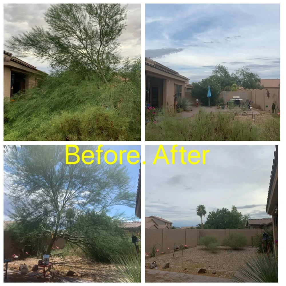 Expert landscape installation in Casa Grande, AZ by Valdez Executive Landscaping and Maintenance