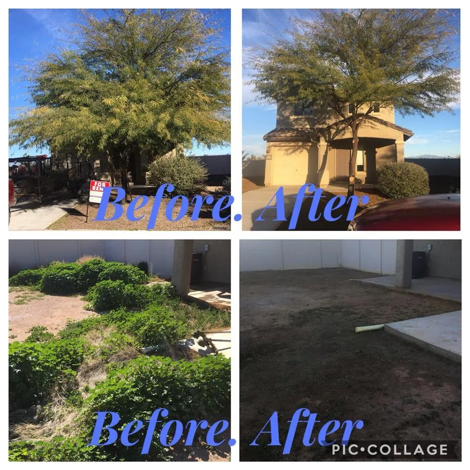 Top-rated yard maintenance for year-round maintenance in Casa Grande, AZ by Valdez Executive Landscaping and Maintenance