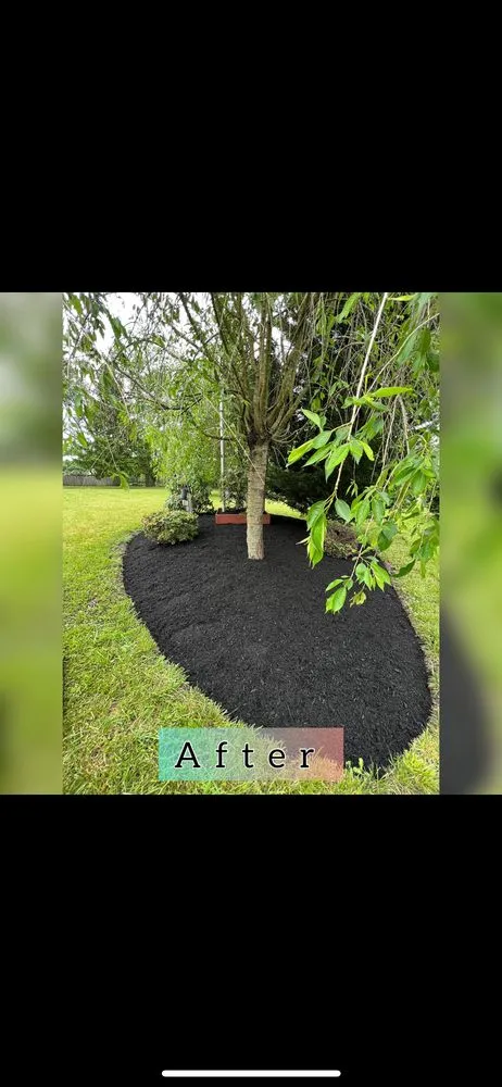 Local landscaping services experts serving Fresno, CA - Valdez Gardening Services