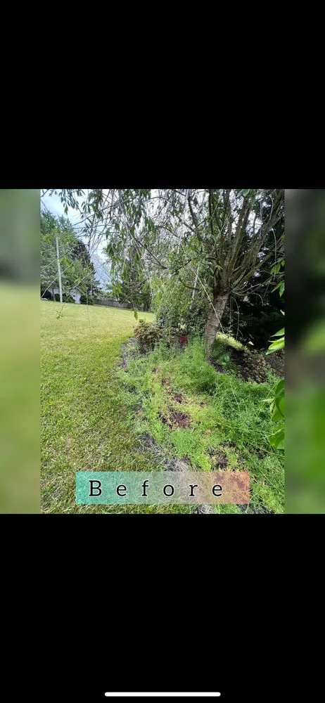 Custom residential landscaping experts serving Fresno, CA - Valdez Gardening Services