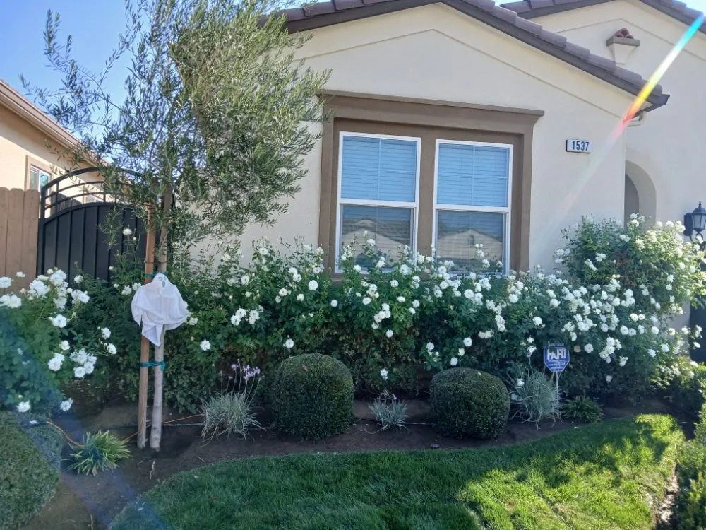 Trusted residential landscaping experts serving Fresno, CA - Valdez Gardening Services