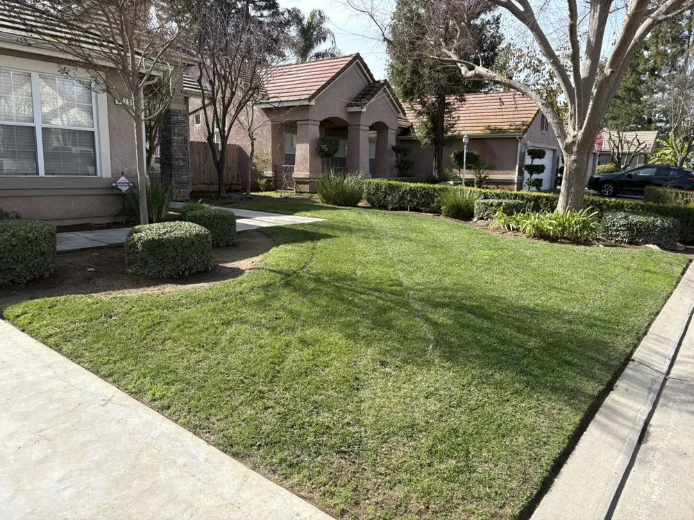 Top-rated outdoor landscaping for year-round maintenance in Fresno, CA by Valdez Gardening Services