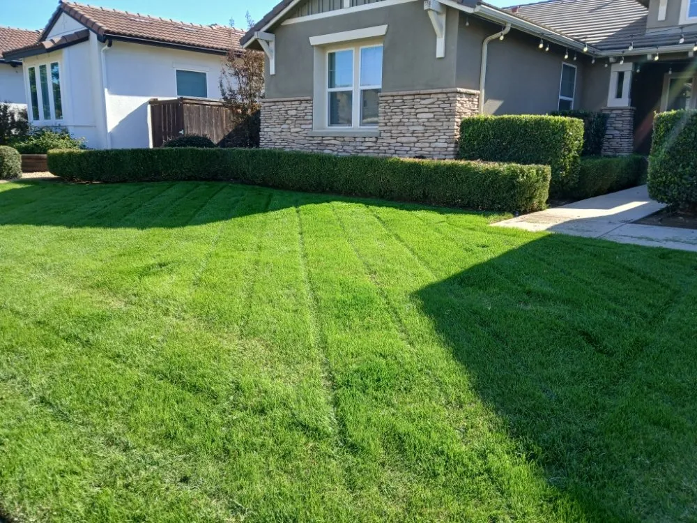 Top-rated landscape installation for residential properties across Fresno, CA - Valdez Gardening Services