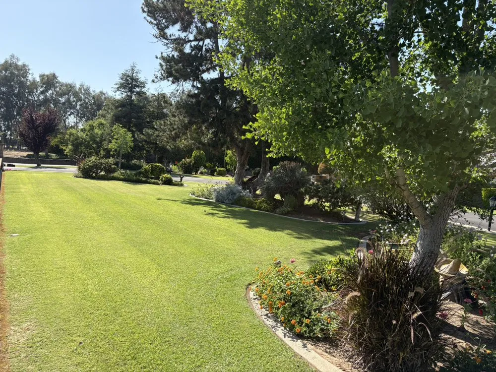 Top-rated landscape design experts serving Fresno, CA - Valdez Gardening Services