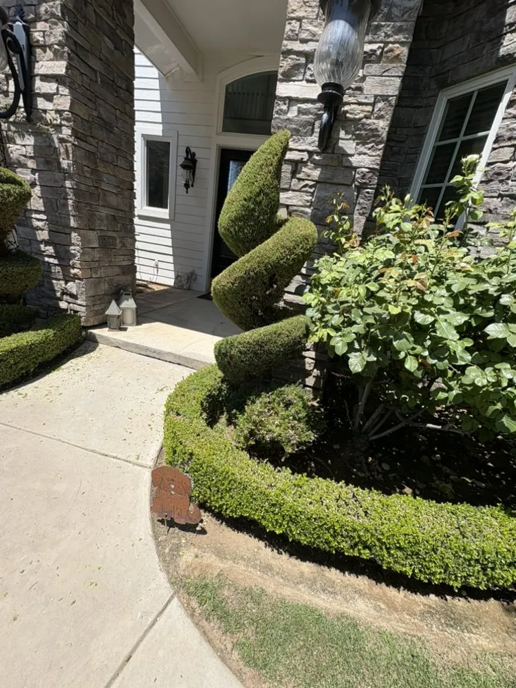 Affordable landscaping services experts serving Fresno, CA - Valdez Gardening Services