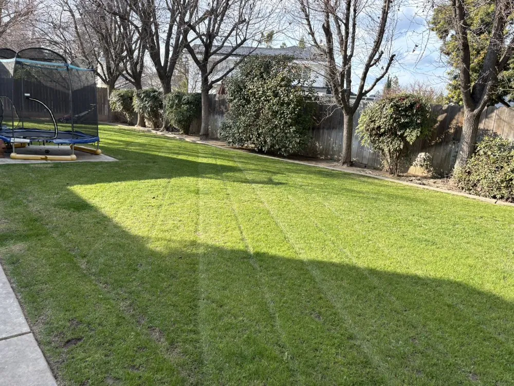 Local yard maintenance in Fresno, CA - Valdez Gardening Services