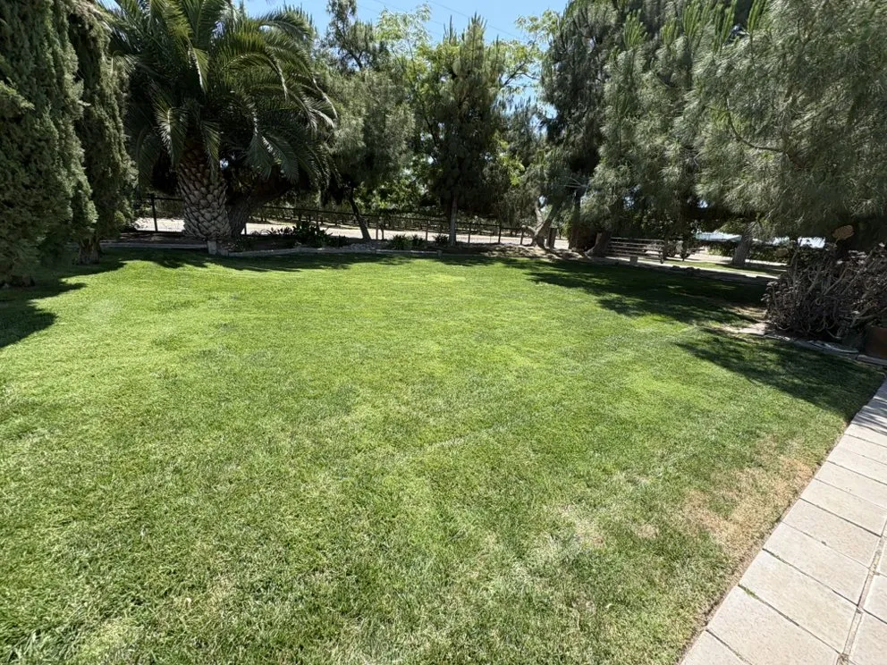 Expert landscape design for residential properties in Fresno, CA by Valdez Gardening Services