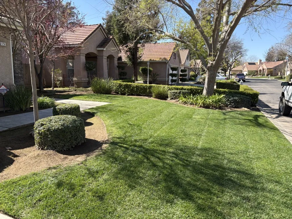 Reliable landscape installation in Fresno, CA - Valdez Gardening Services