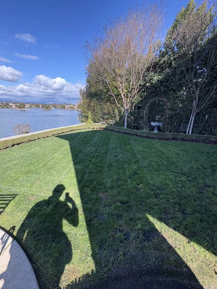 Professional residential landscaping for homes across Fresno, CA - Valdez Gardening Services