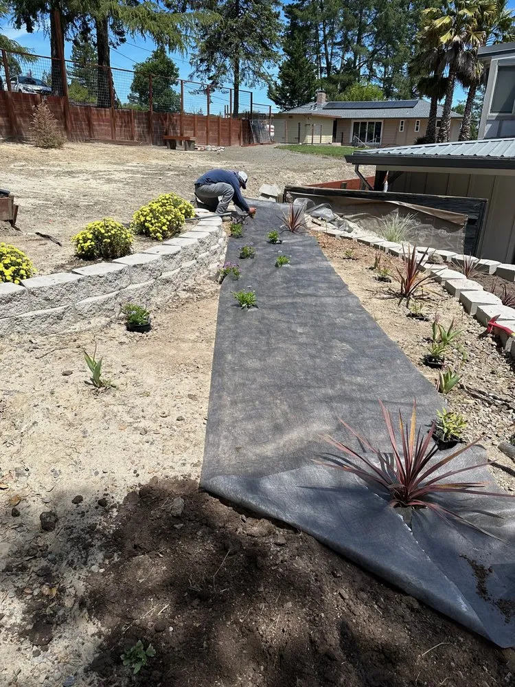 Professional lawn care service for year-round maintenance across Santa Rosa, CA - Valdez Landscape and Construction